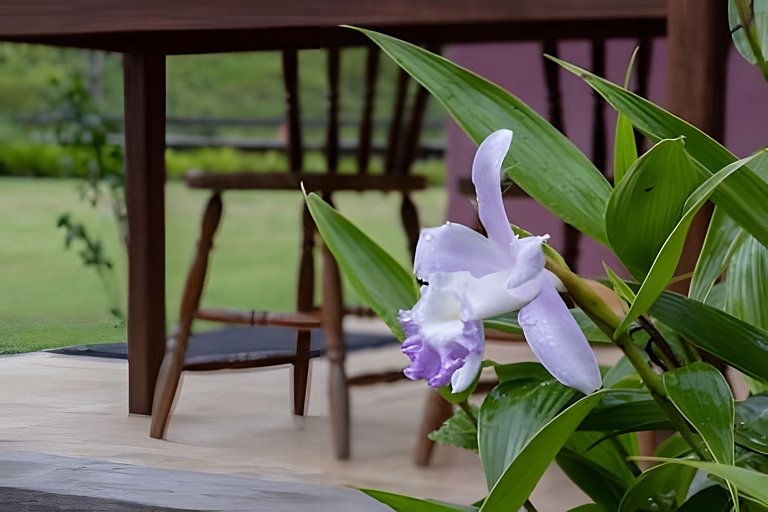 Sítio Toca da Toca • Encontros na serra de Lumiar