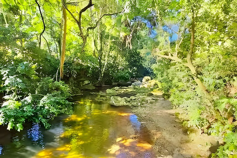 Studio Mirante da Cascata • Vista e calmaria