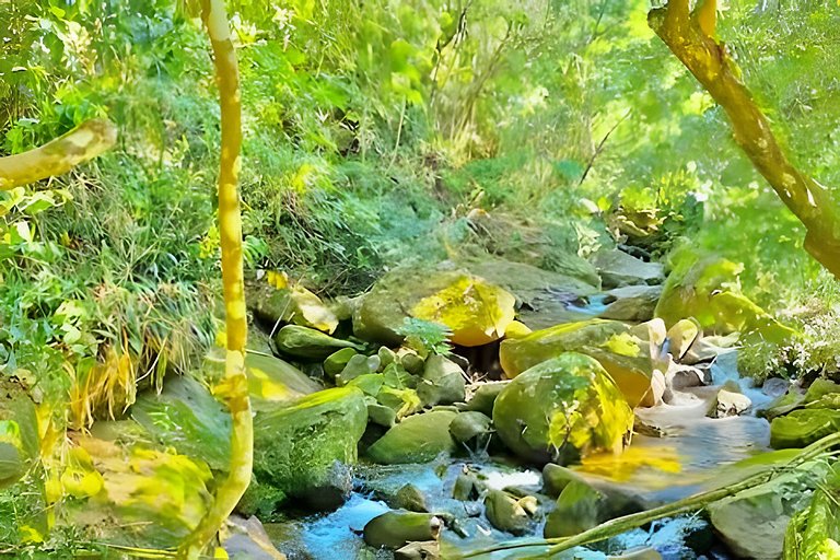 Studio Mirante da Cascata • Vista e calmaria