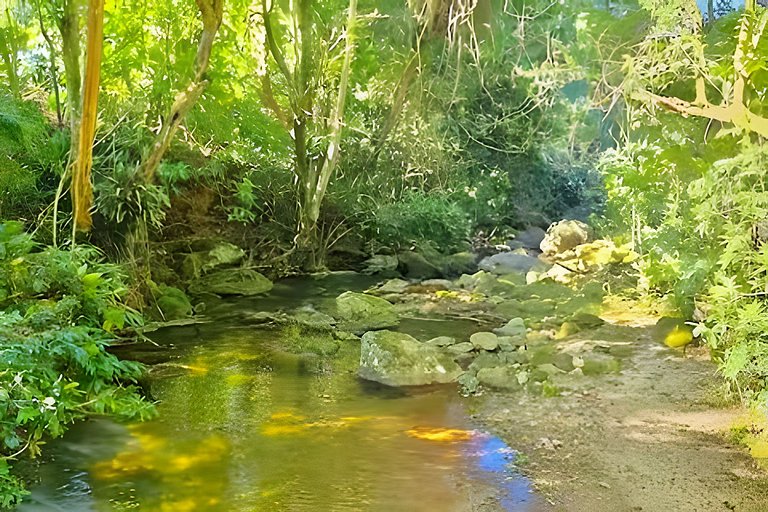 Studio Mirante da Cascata • Vista e calmaria