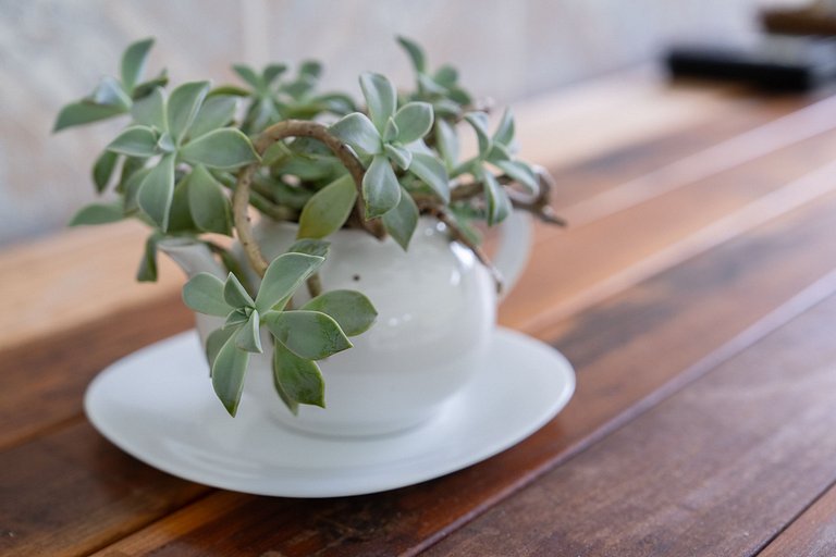 Pousada Rural Toca da Toca • Refúgio na natureza