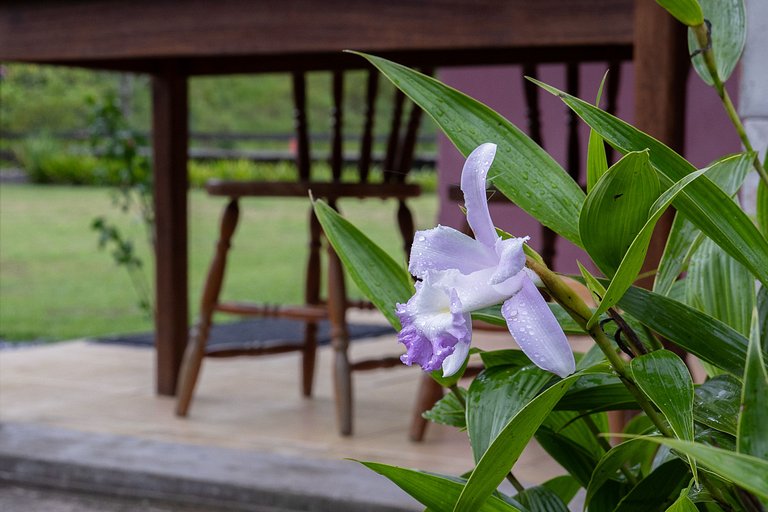 Pousada Rural Toca da Toca • Refúgio na natureza