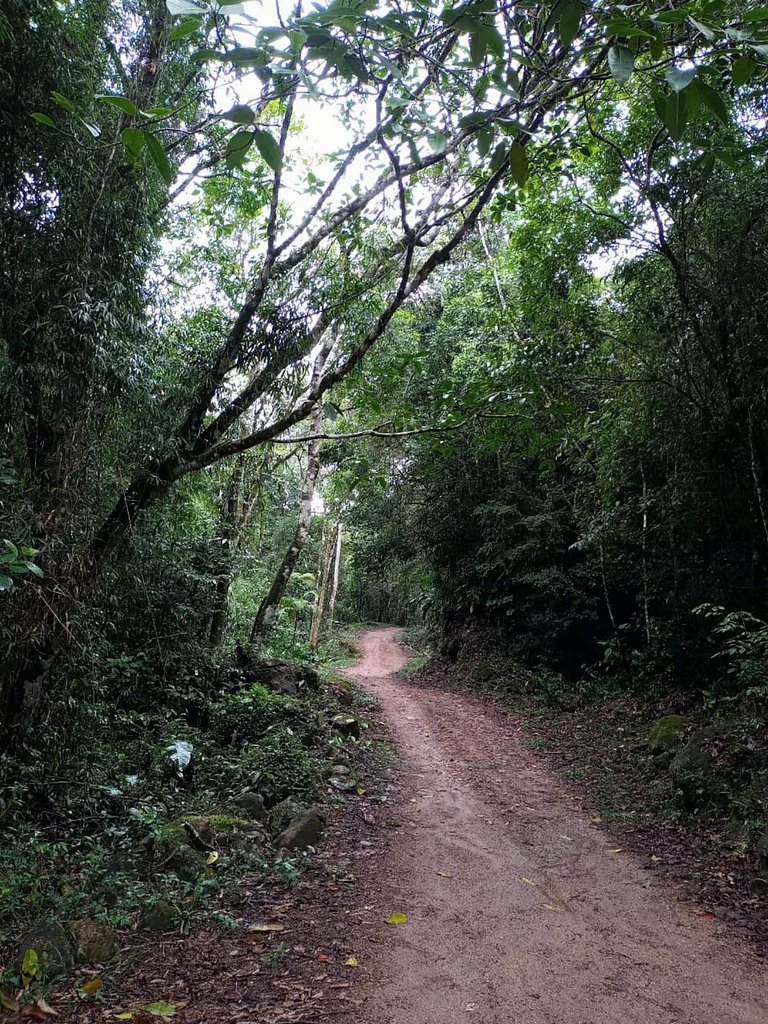 Sítio Toca da Aldeia • Despertar na natureza